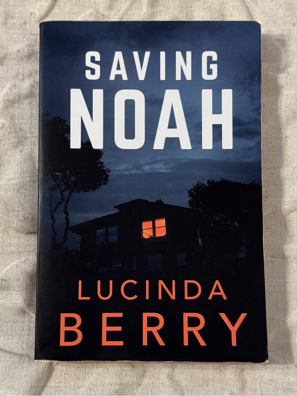 Saving Noah by Lucinda Berry